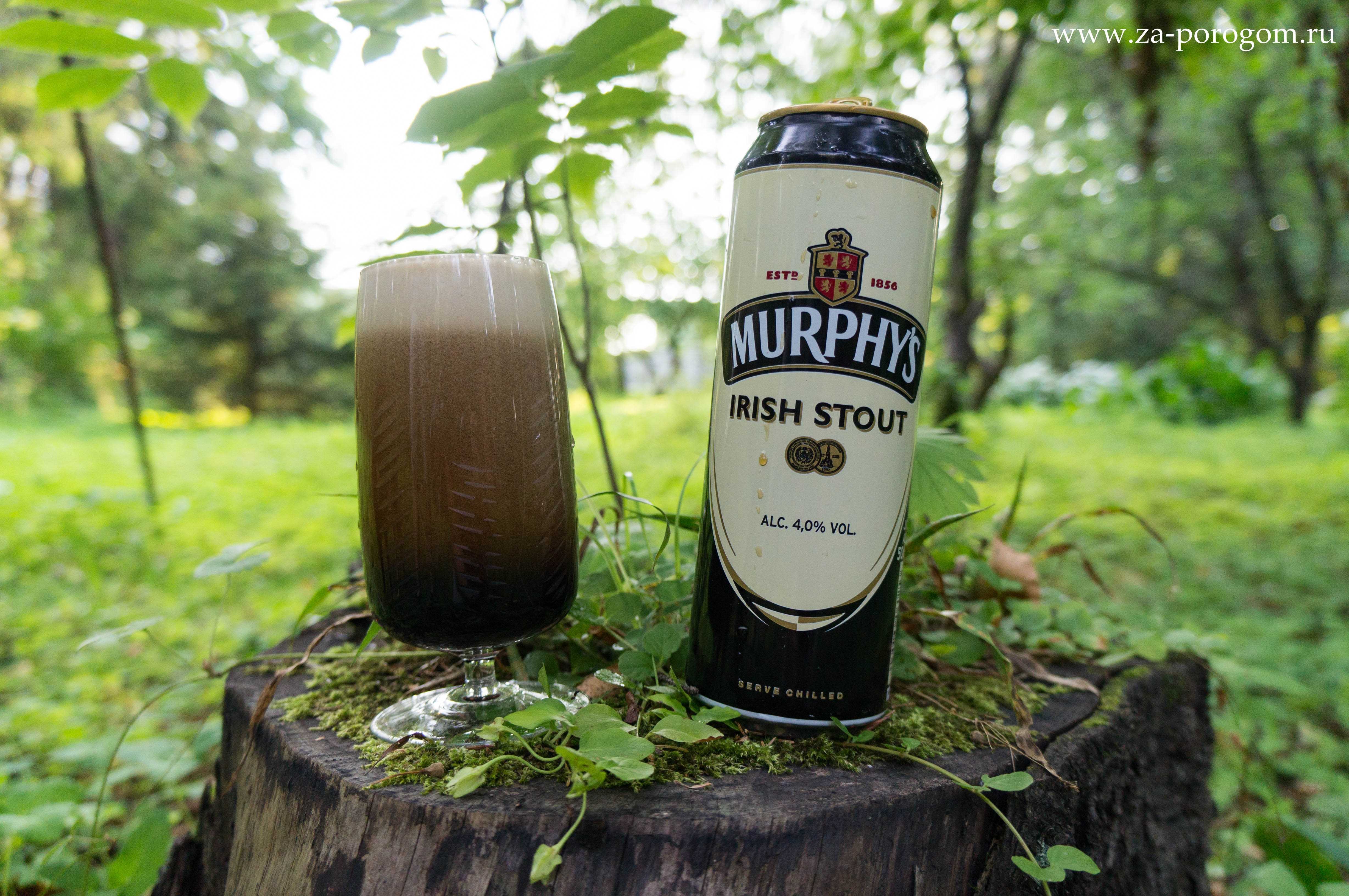 Ирландский стаут (irish stout) – описание стиля пива