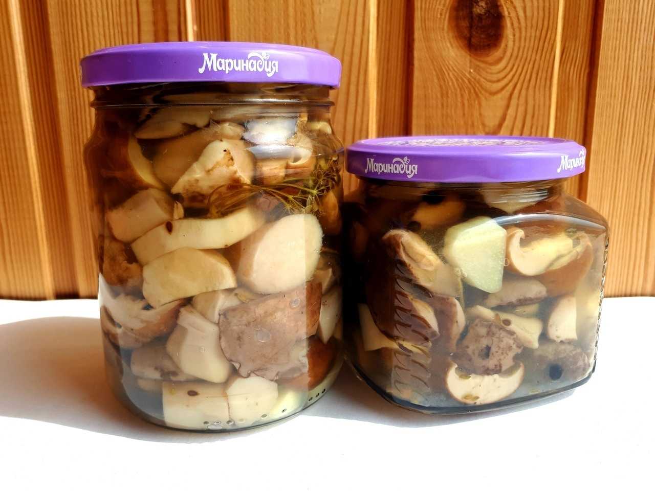 Маринованные грибы на зиму — 12 простых рецептов в банках
