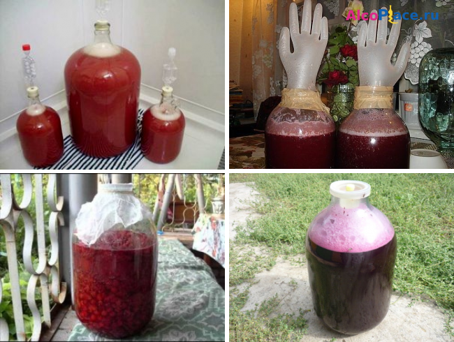 Какие дрожжи использовать для браги ⋆ алкомен.ру-домашний алкоголь рецепт самогон,брага,вино
