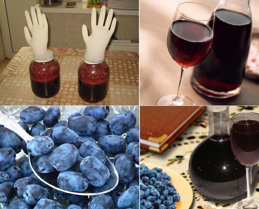 Домашнее вино, настойка, наливка, ликер из жимолости: лучшие, простые рецепты
