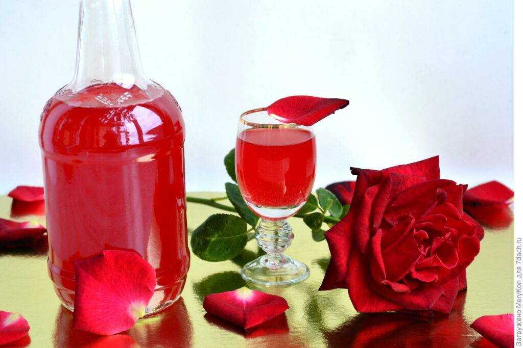 Ликер из розы: 7 рецептов в домашних условиях