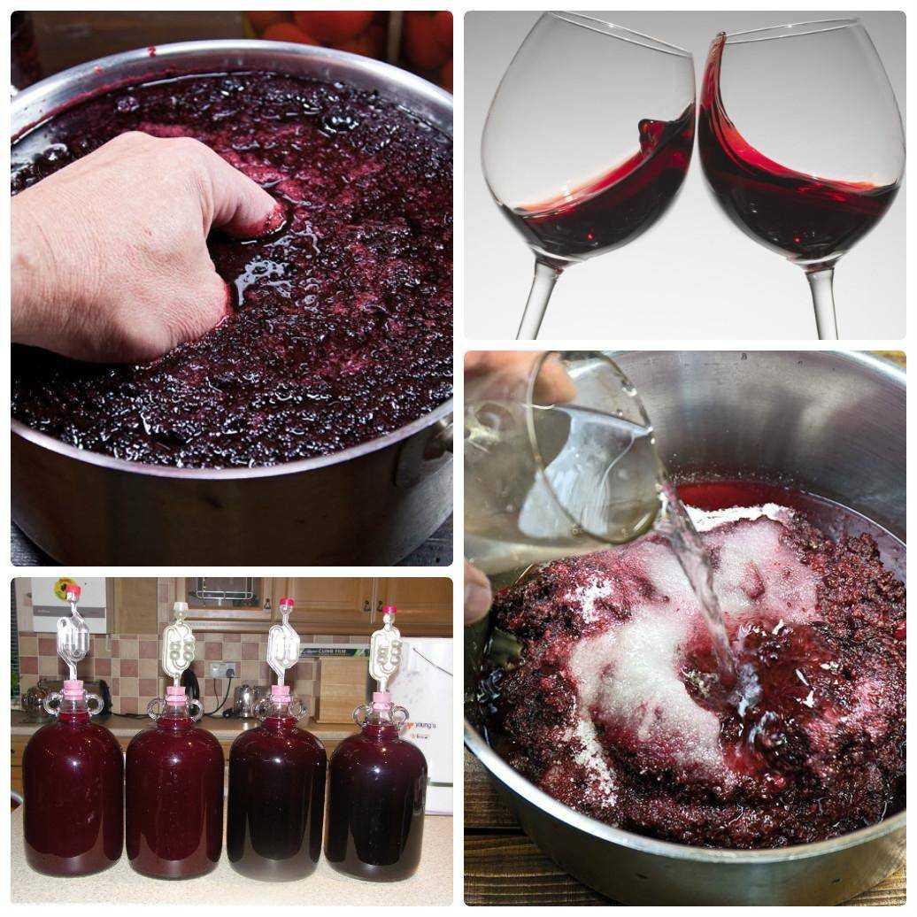 Брожение вина: сколько должно бродить домашнее вино, температура и этапы