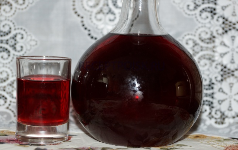 Как сделать вино из жимолости в домашних условиях