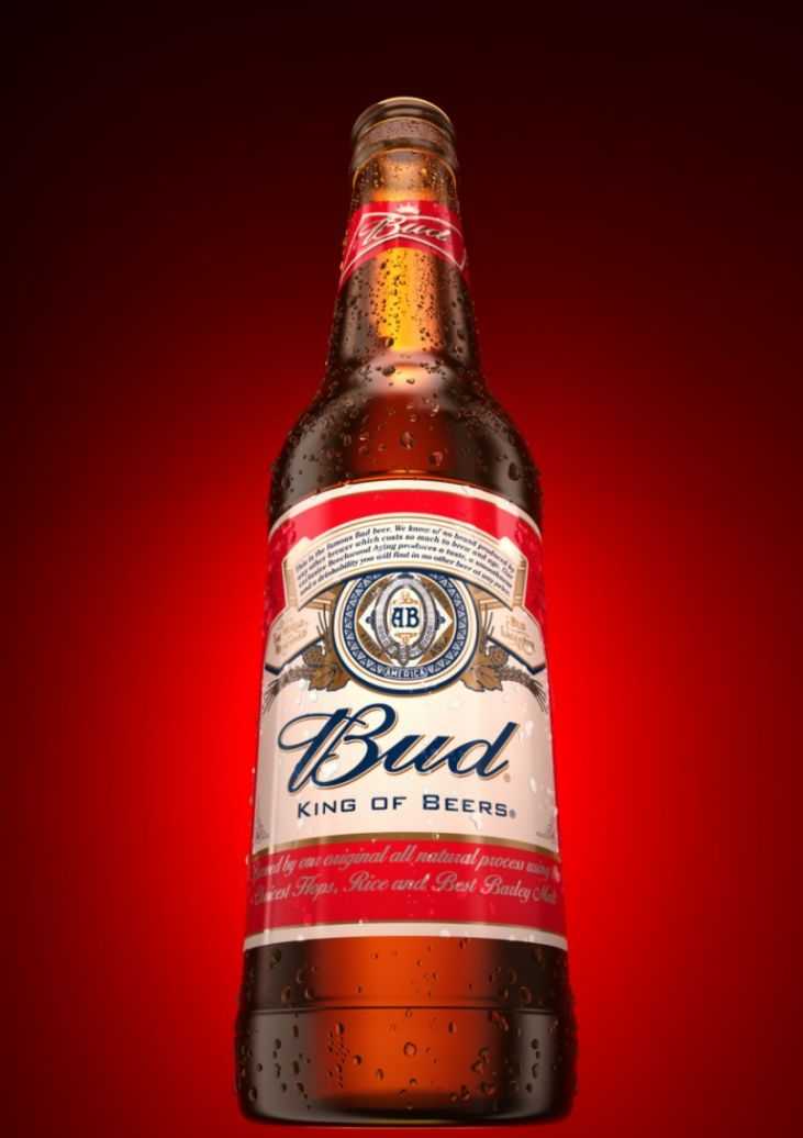 Бад бутылка. Пиво БАД 0.5. Пиво Bud бутылочное. Пиво Bud 0.75. БАД/ Bud пиво.