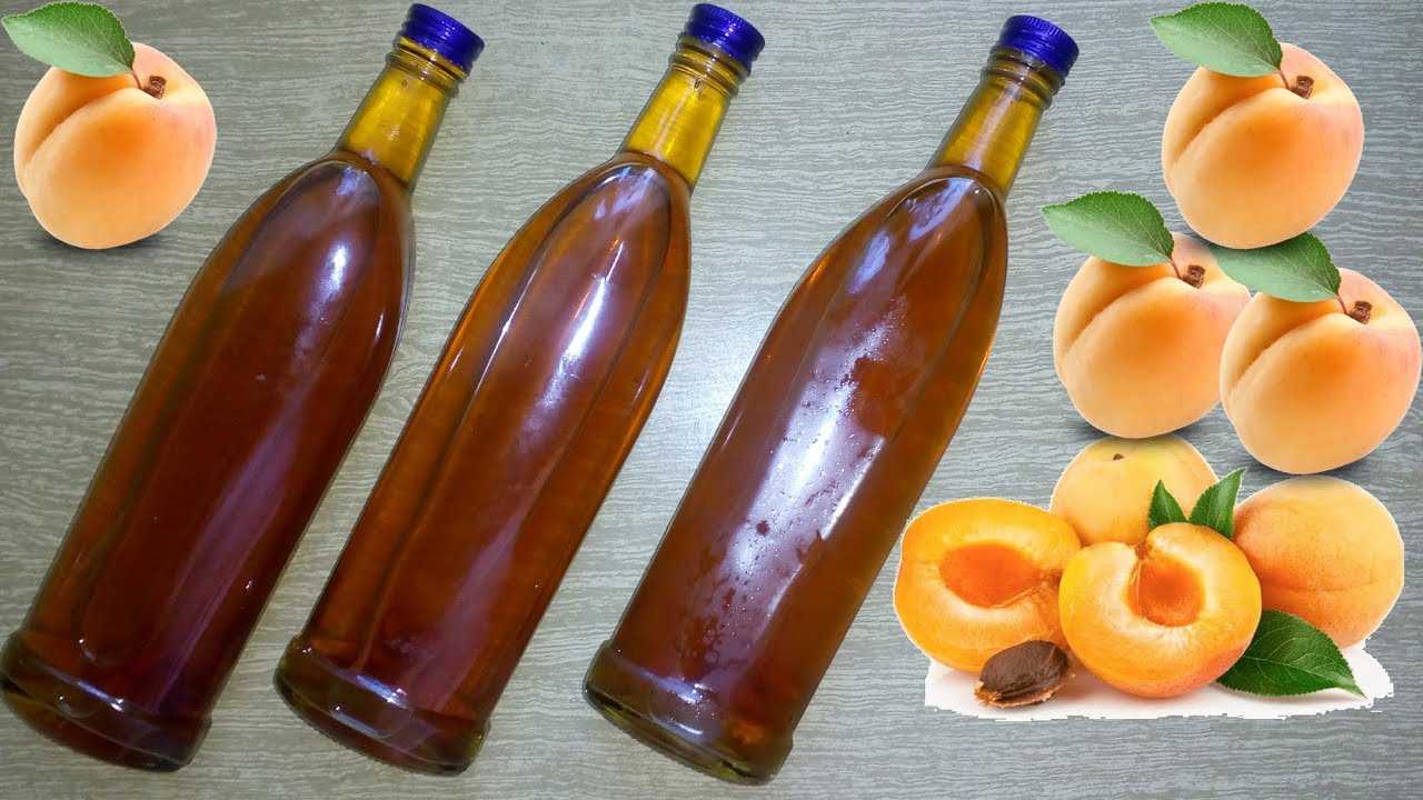 Еще больше алкоголя из абрикосов! готовим абрикосовый ликер в домашних условиях