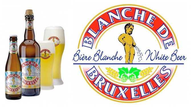 Бланш де брюссель: обзор известного бельгийского пива
