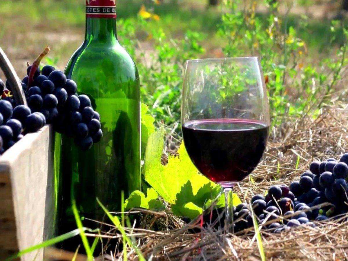 Простые рецепты домашнего вина из разных сортов винограда поэтапно