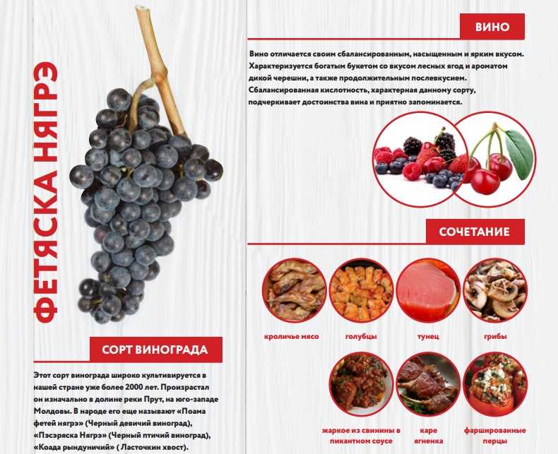 Красные и белые сорта виноградных лоз выращиваемых во франции