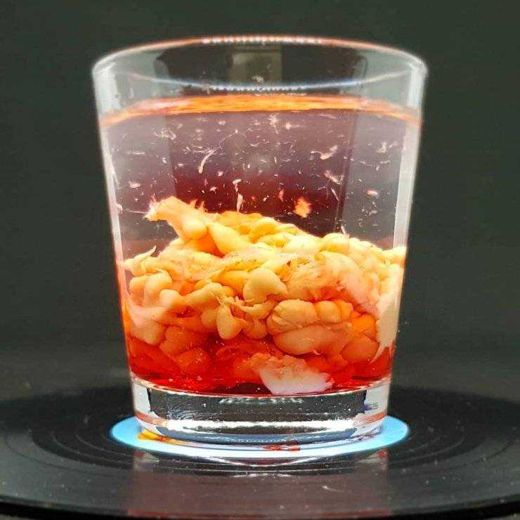 Коктейль опухоль мозга: ингредиенты для приготовления коктейля, инвентарь. пошаговое приготовление и варианты подачи. советы как правильно готовить алкогольный напиток