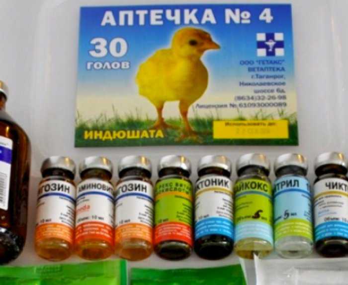 Какие лекарства дать цыплятам