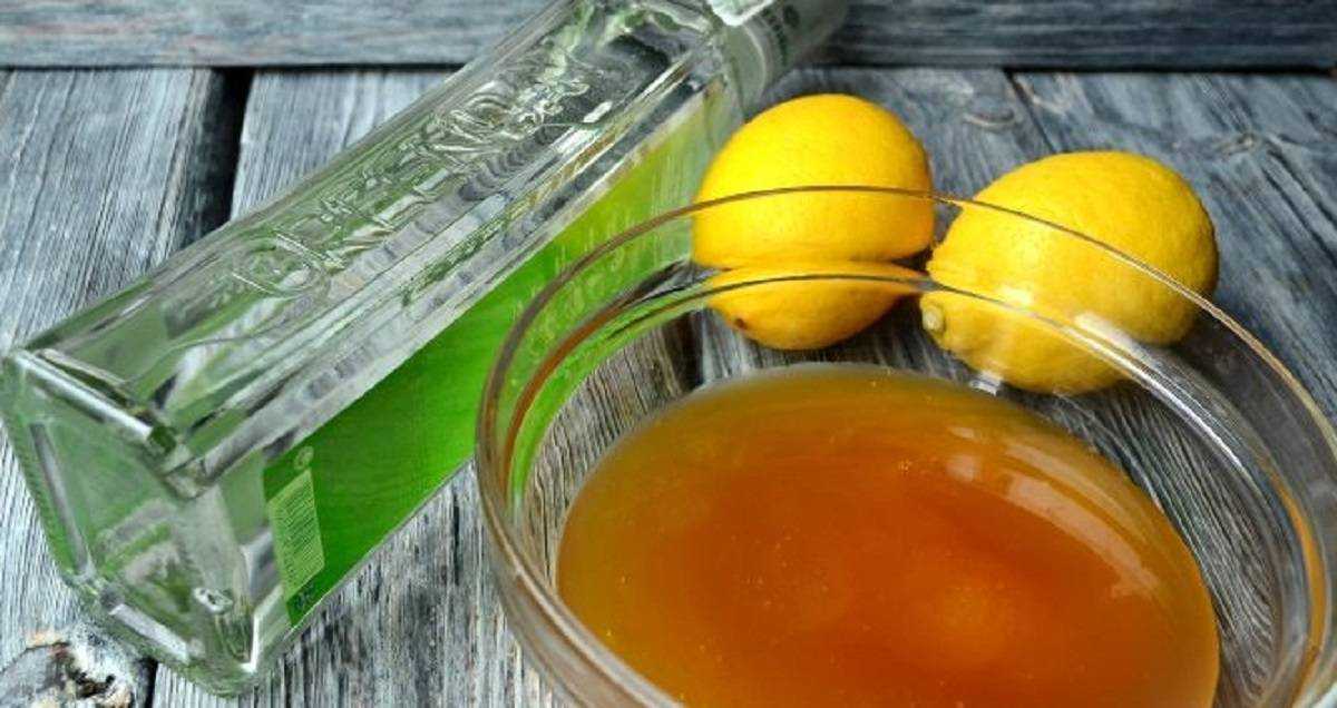 Наливки из черноплодной рябины в домашних условиях — 20 рецептов с пошаговым приготовлением
