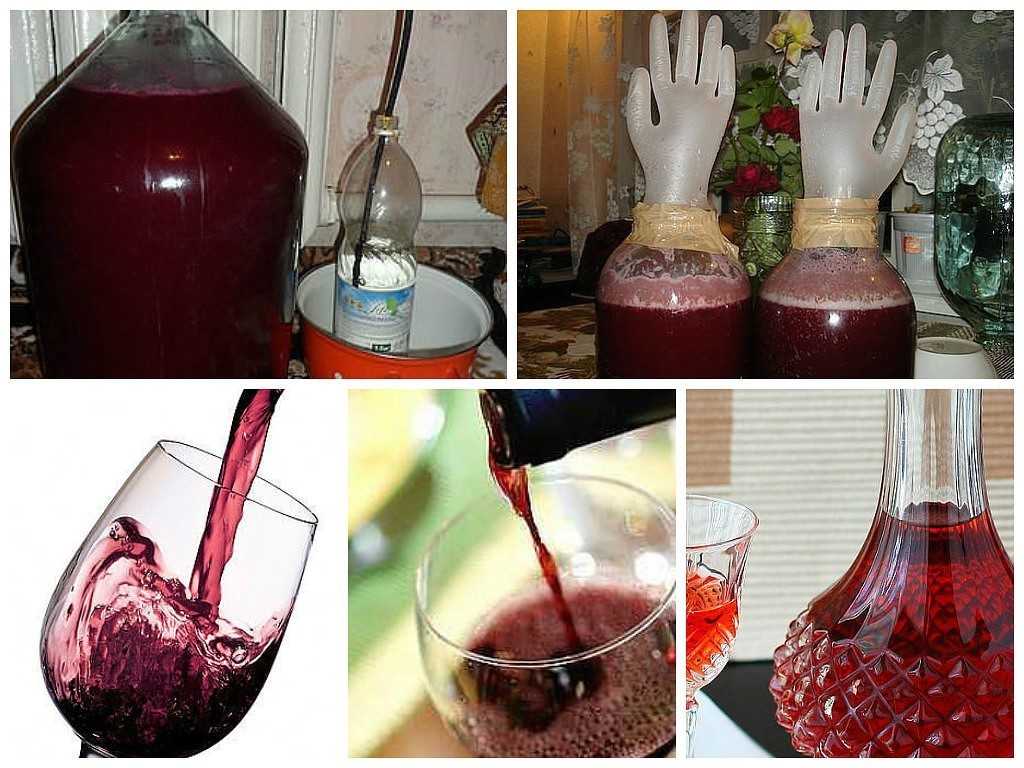 Вино из забродившего компота - простые пошаговые рецепты для приготовления в домашних условиях