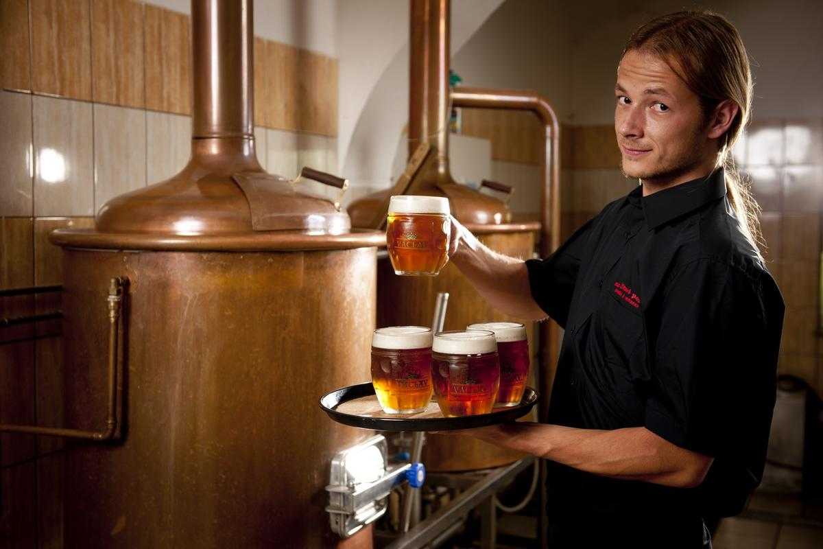 Производство пива как бизнес - технология, оборудование, сырье и лицензирование