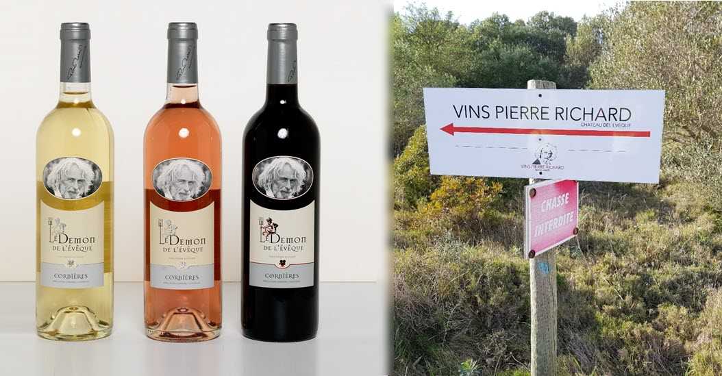 Вино лангедок-руссильон виноградники и сорта винограда  - drink-drink