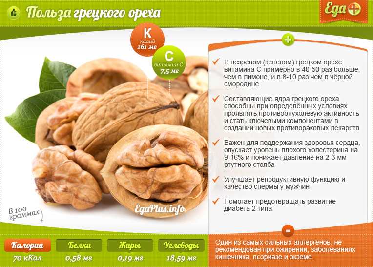 Настойка из зеленого грецкого ореха: в чем «соль» недозревших плодов царского дерева