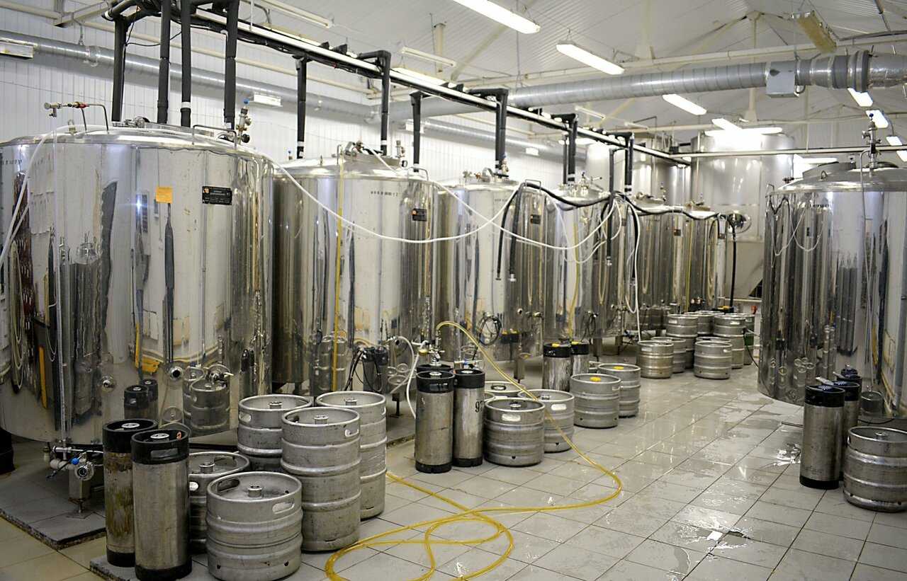 Производство пива: из чего его делают, химический состав, технология приготовления, история пивоварения