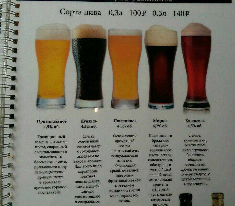 Плотность пива - это... плотность пива по отношению к воде и вес