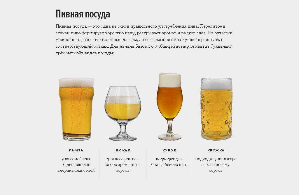 Отличия пива и пивного напитка - alcowiki.org