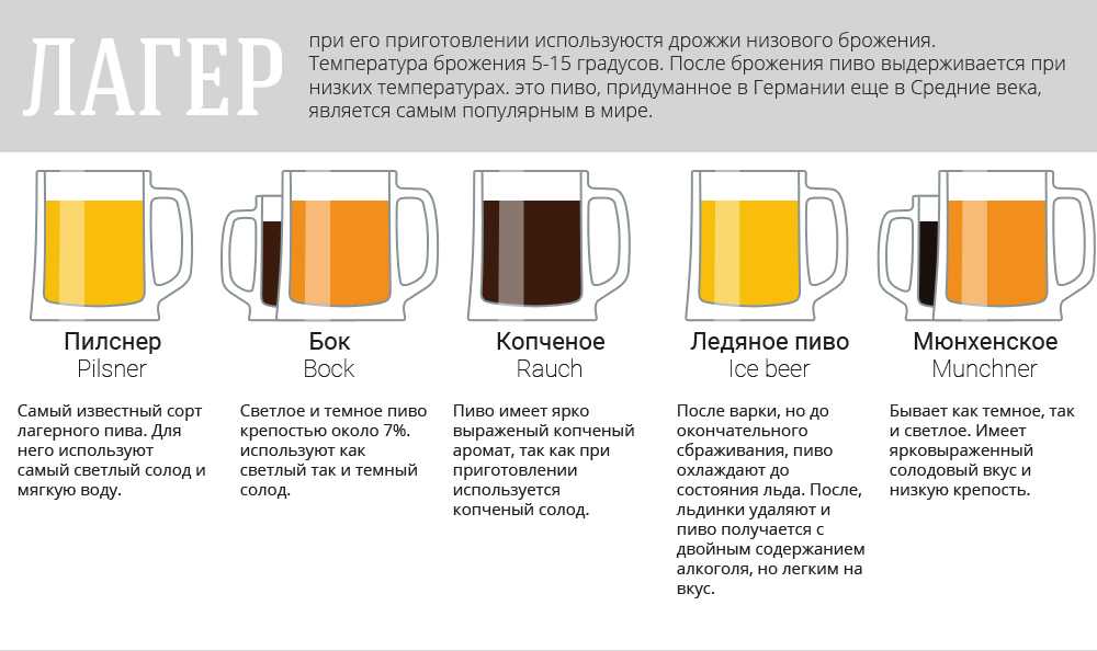 Чем отличается пиво от пивного напитка: в чем разница