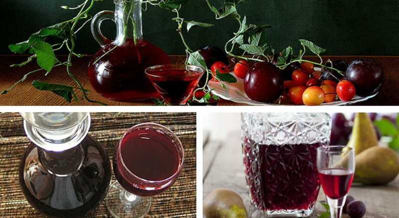 Простые пошаговые рецепты приготовления вкусного домашнего вина из слив