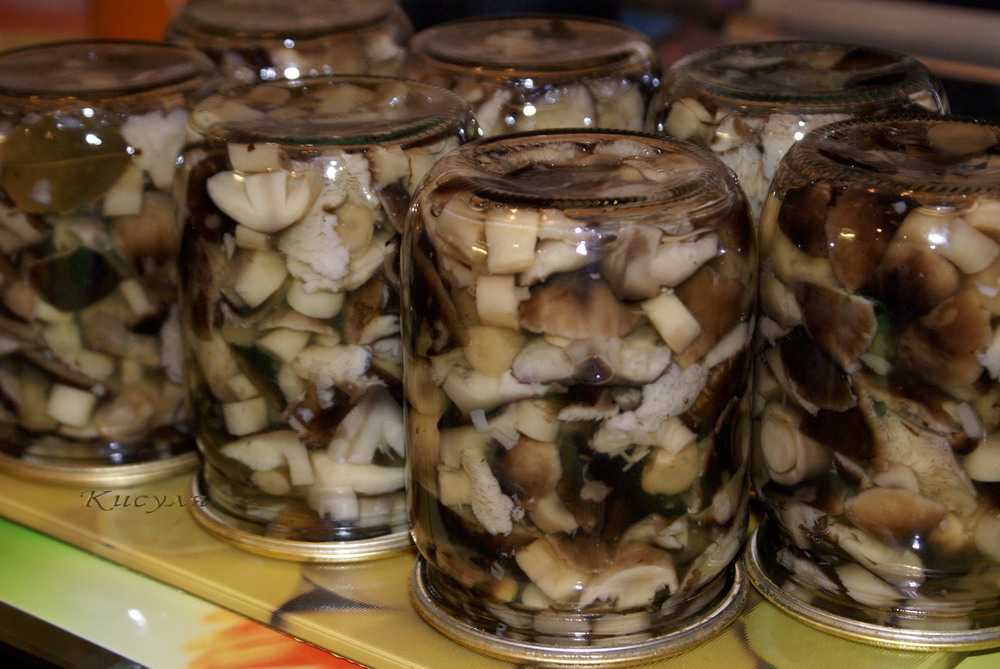 Маринад для грибов – 10 рецептов на 1 литр воды с пошаговыми фото
