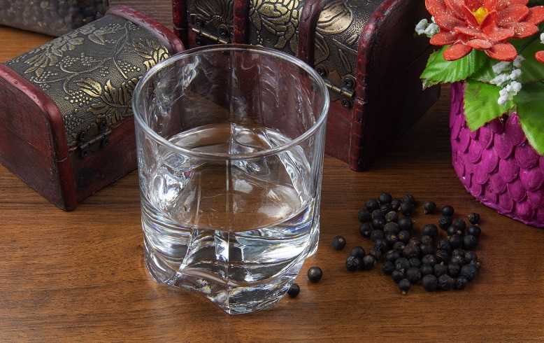 Что такое джин, с чем пьют, из чего делают, рецепт в домашних условиях