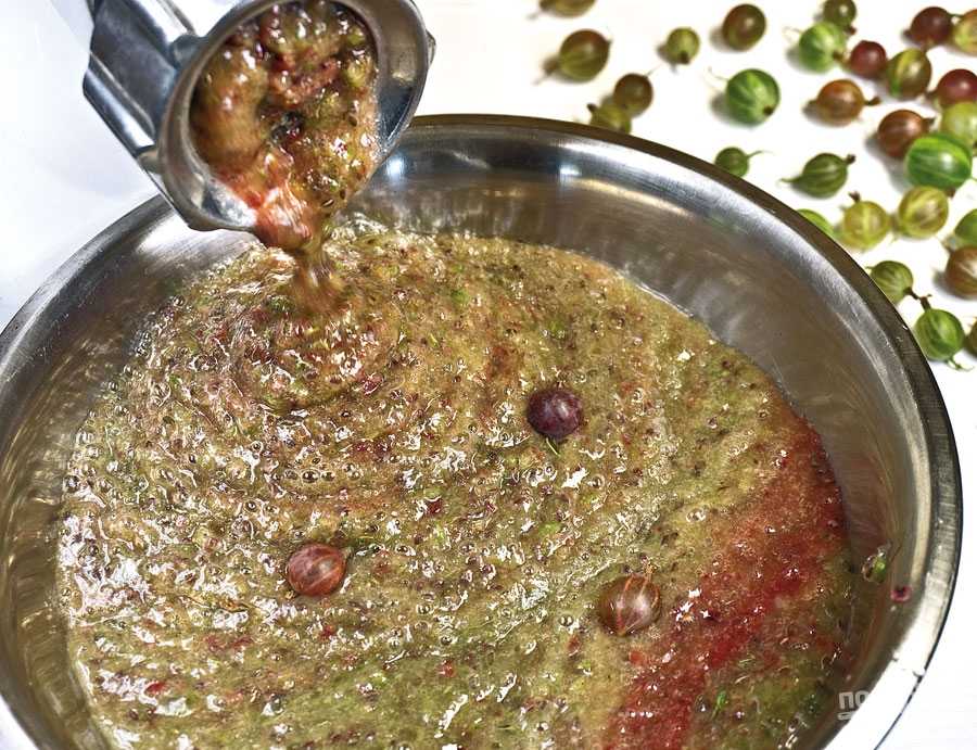 Как сделать вкусное вино из ягод крыжовника в домашних условиях