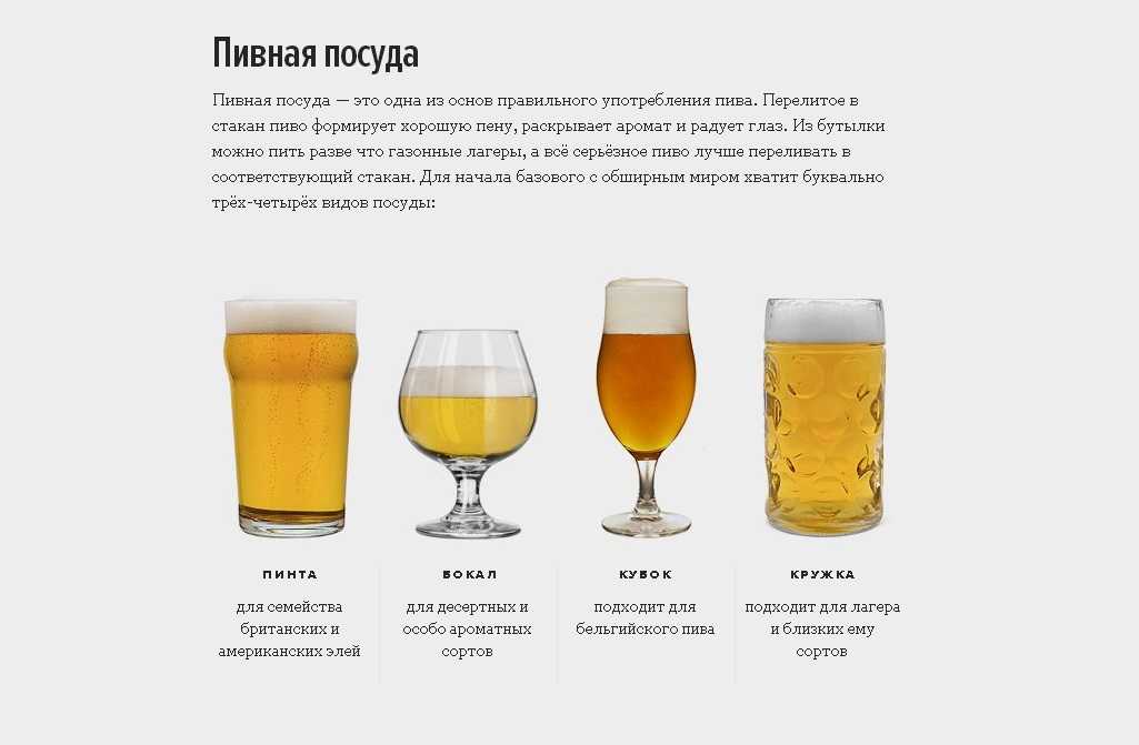 Пшеничное пиво: особенности, виды и сорта, культура пития