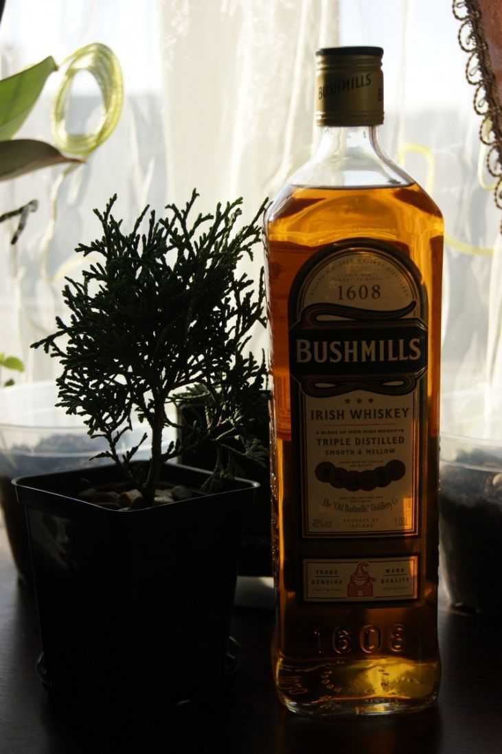 Ирландский виски bushmills ("бушмилс"): описание, отзывы :: syl.ru