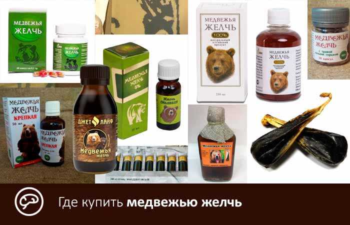 Настойка на медвежьей желчи – как готовить?