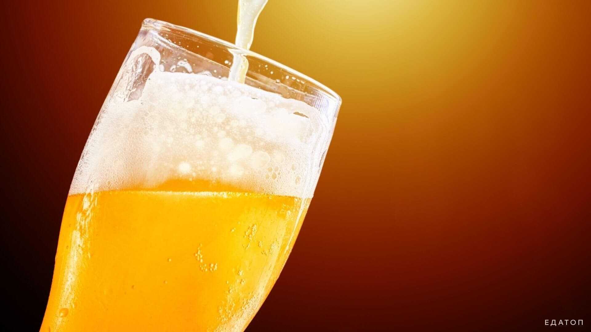 Плотность и крепость пива рецепты домашнего алкоголя