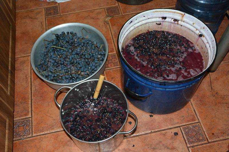 Простое вино из домашнего винограда рецепт. Мезга Виноградная. Домашнее виноделие. Домашнее вино из винограда.