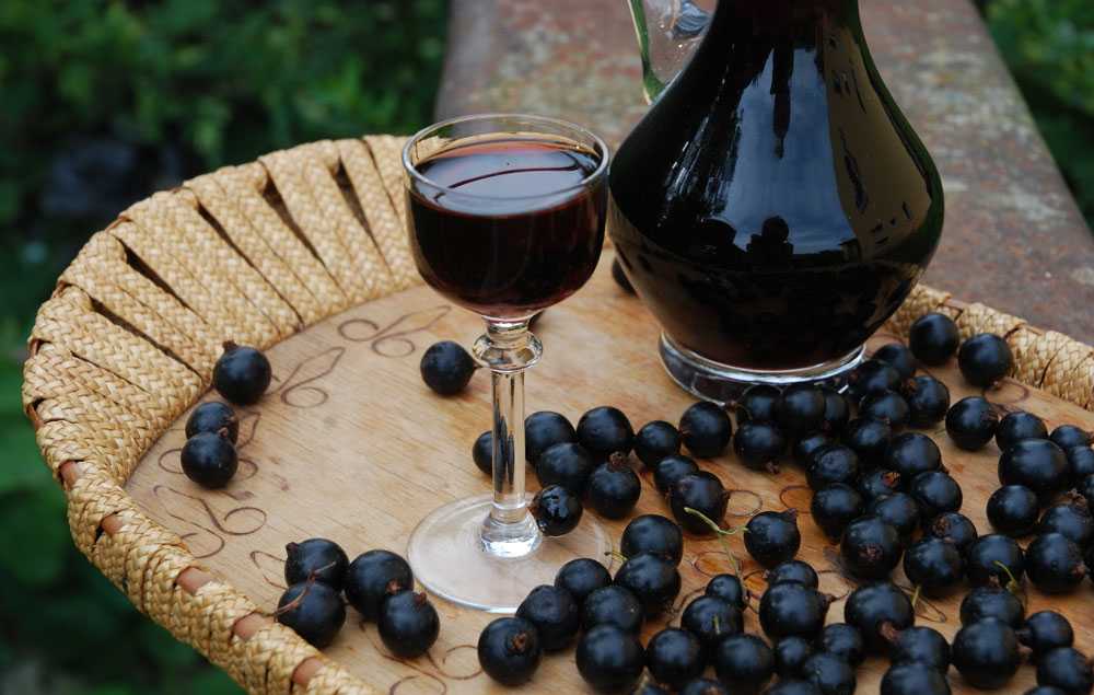 Домашнее вино, настойка, наливка, ликер из жимолости: лучшие, простые рецепты