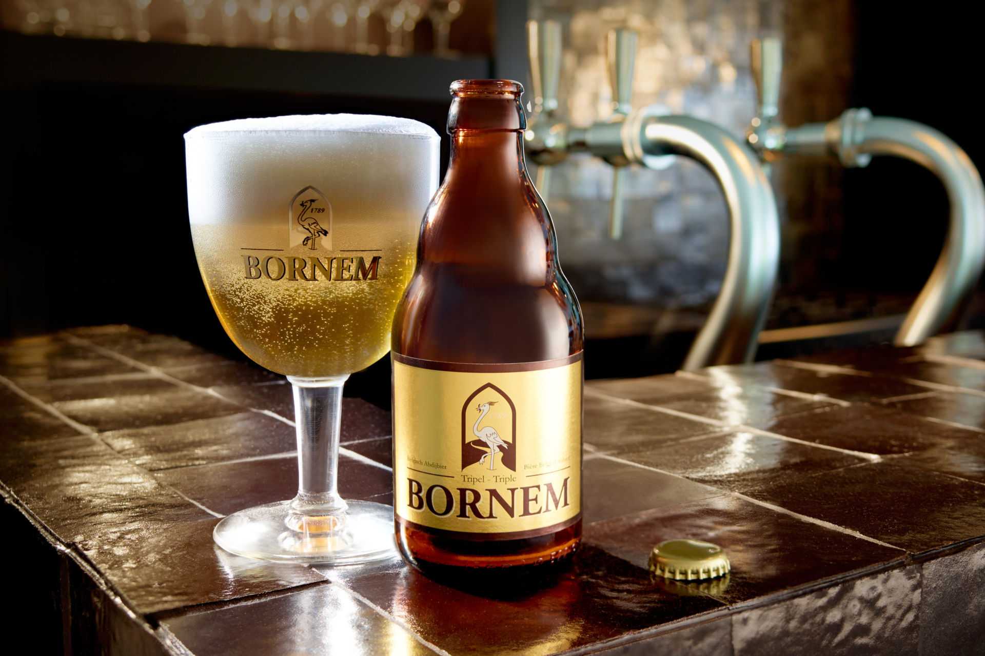 Belgian blond ale (бельгийский блонд эль) – альтернатива пилзнеру
