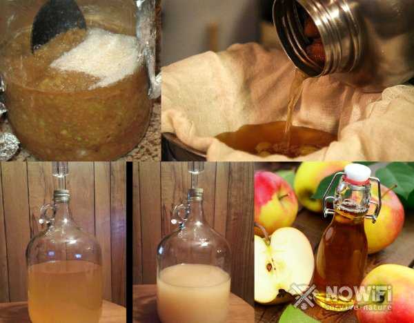 Вкусный рецепт самогона из яблок в домашних условиях