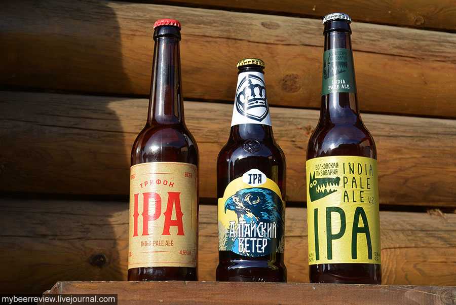 Пиво ipa: история, разница между apa, виды + как пить