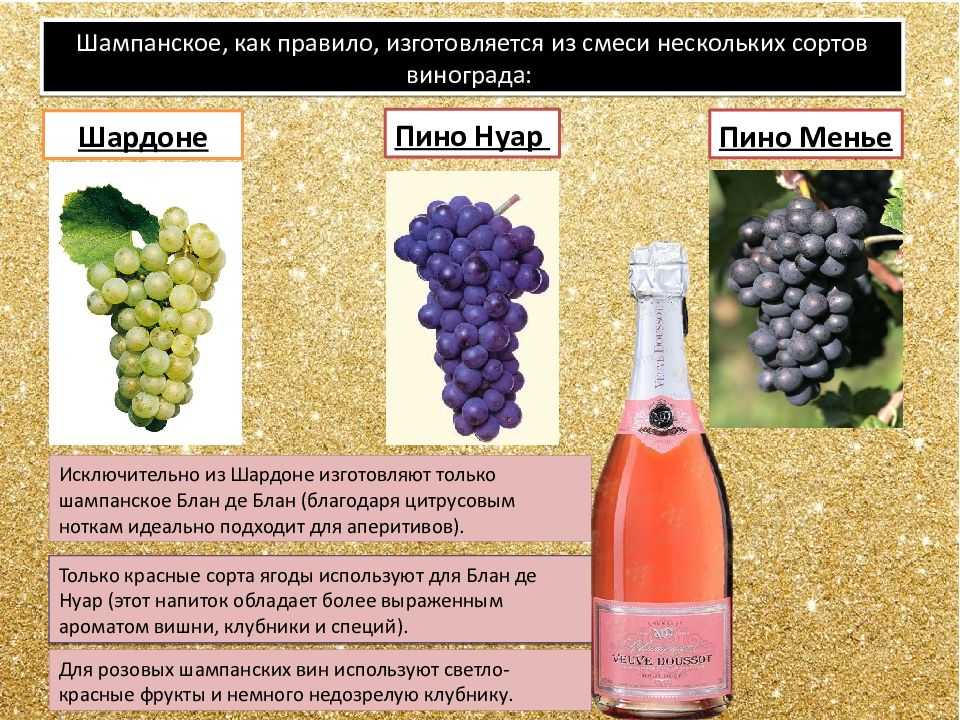 Сорт белого вина 7. Сорта винограда для игристых вин. Шампанское сорт винограда. Сорта винограда для игристого вина. Сорта винограда для шампанского.
