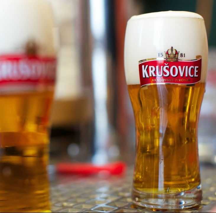 Пиво krušovice (крушовице): виды, описание вкуса, особенности пива и его характеристики (85 фото + видео)