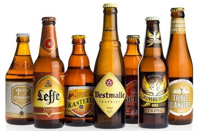 Бельгийское пиво: сорта, история, известные марки и отзывы :: syl.ru