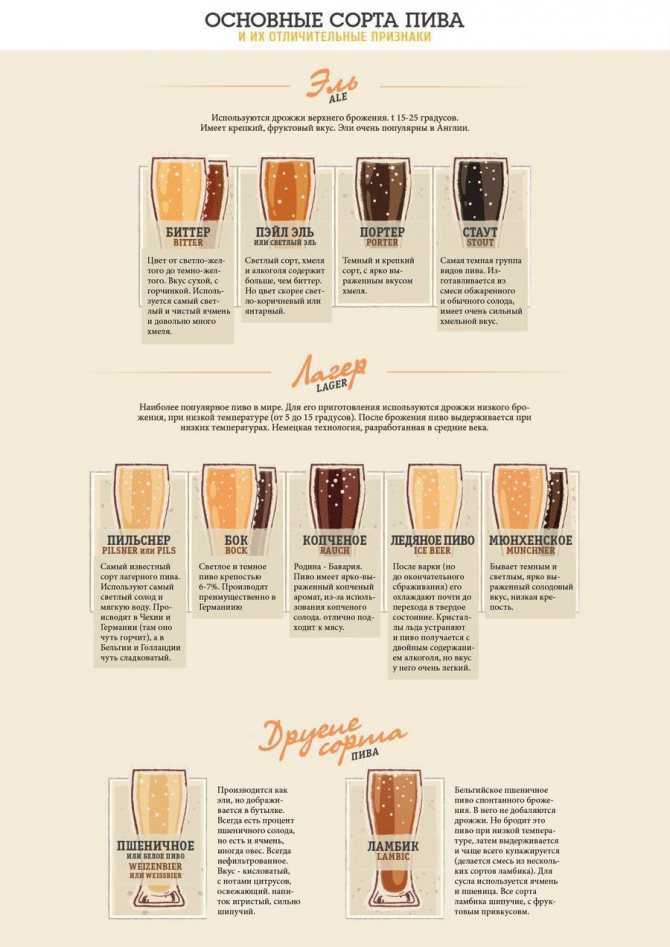 Разновидности пива pale ale