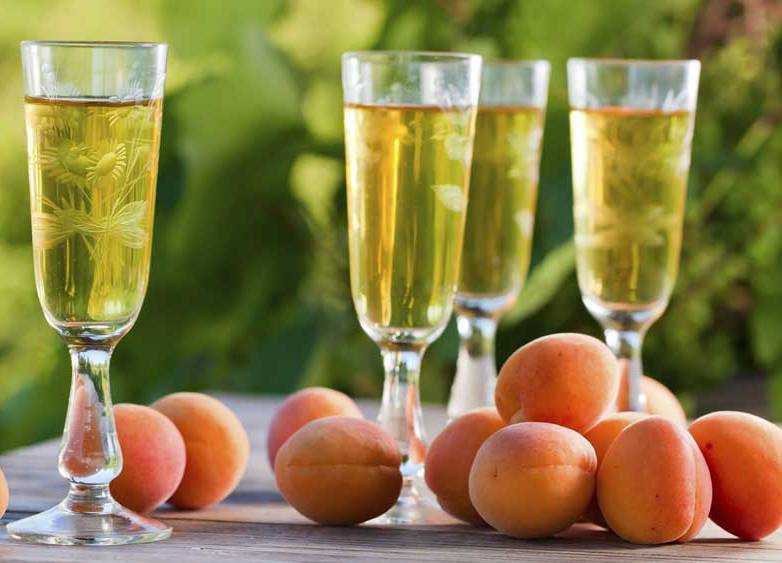 Домашнее вино из абрикосов ? — 13 рецептов с пошаговым приготовлением