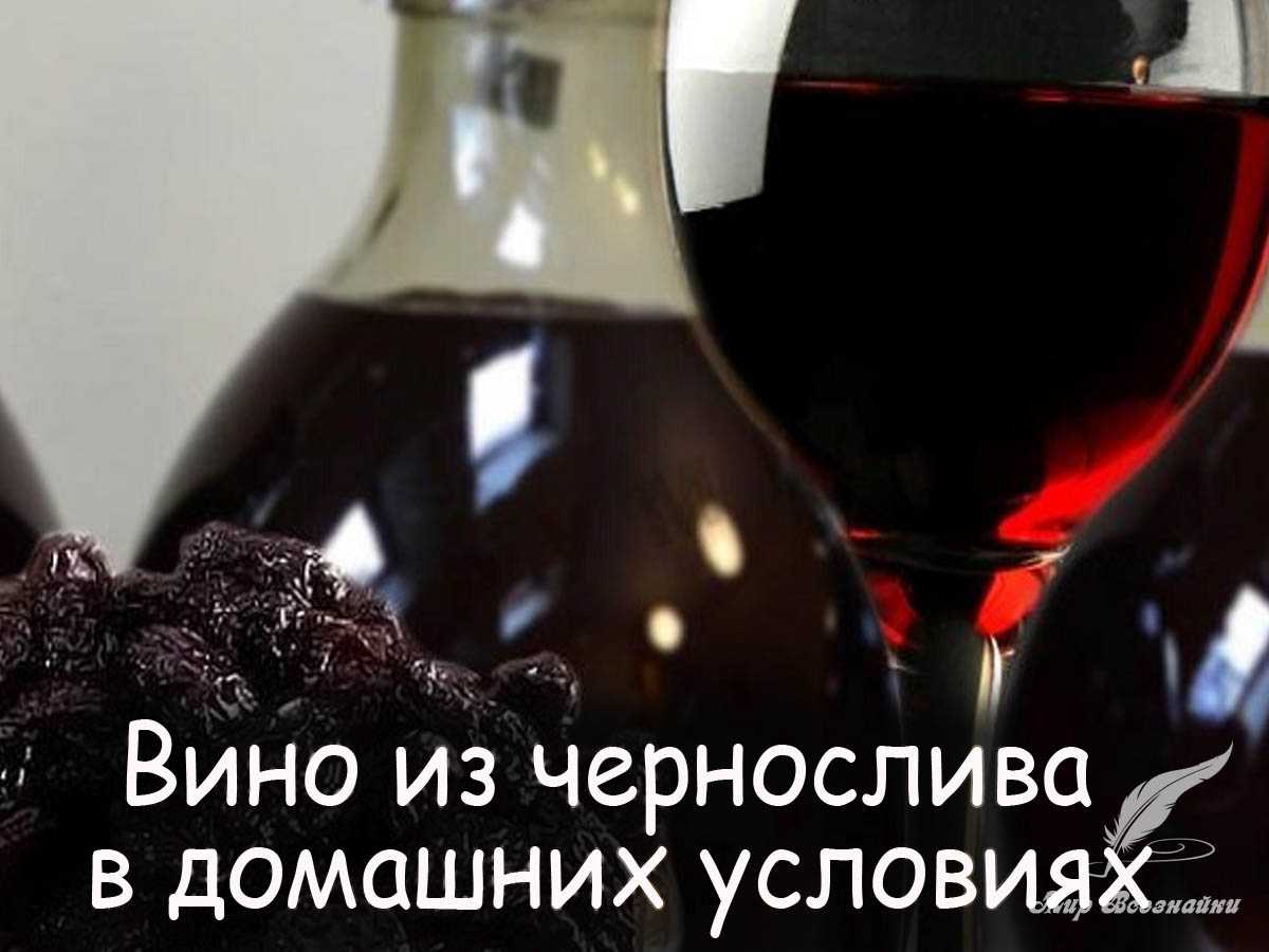 Сливовое вино в домашних условиях – сайт о винограде и вине