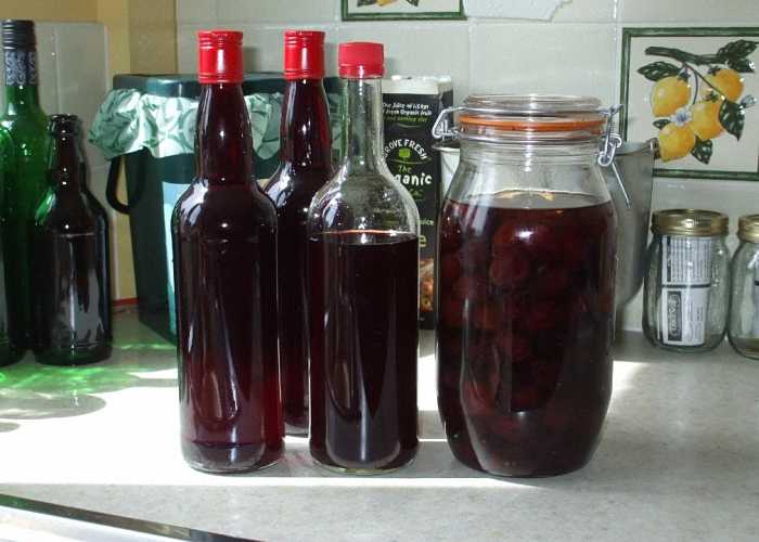 4 простых рецепта приготовления настойки из вишни — на самогоне, водке, спирту и коньяке