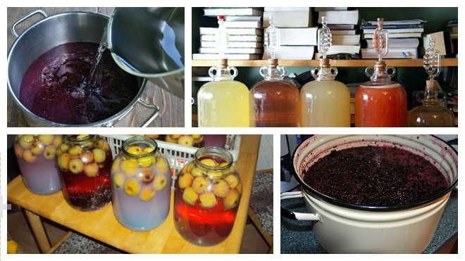 Как сделать вино из забродившего компота: рецепт приготовления в домашних условиях