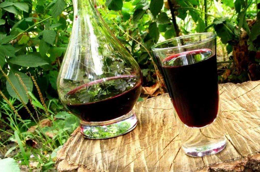 Вино из жимолости, настойку, домашнюю наливку как сделать: рецепт