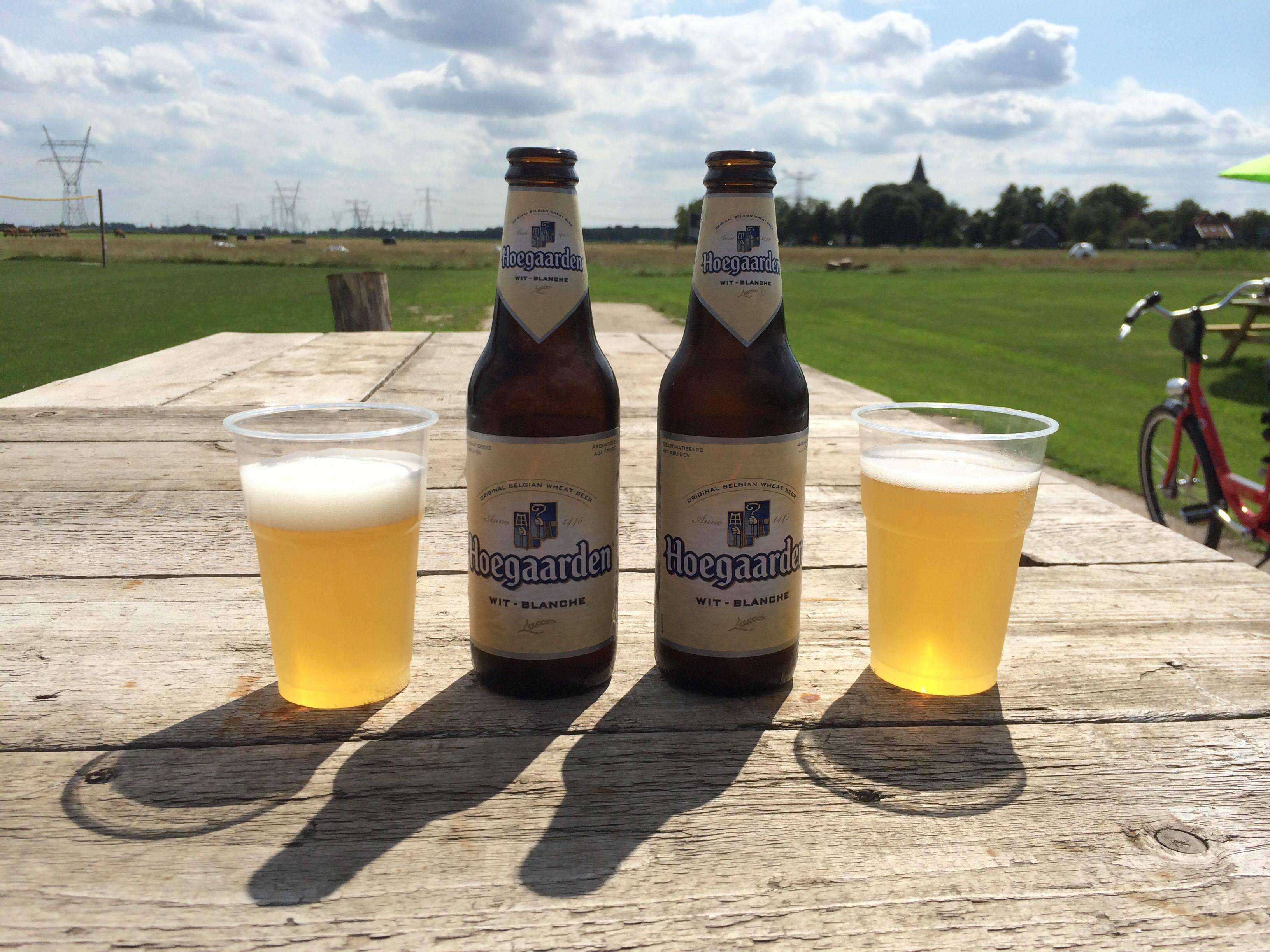 Голландское пиво: виды, сорта, история и культура употребления