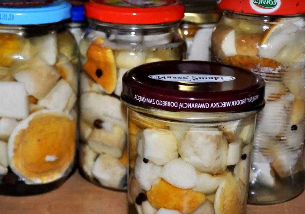 Шампиньоны в винном соусе / грибные закуски / tvcook: пошаговые рецепты с фото