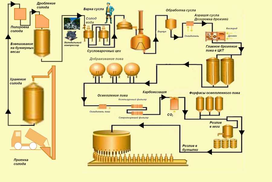 Как открыть производство пенного напитка – пива или ввод мини-пивоварни в эксплуатацию