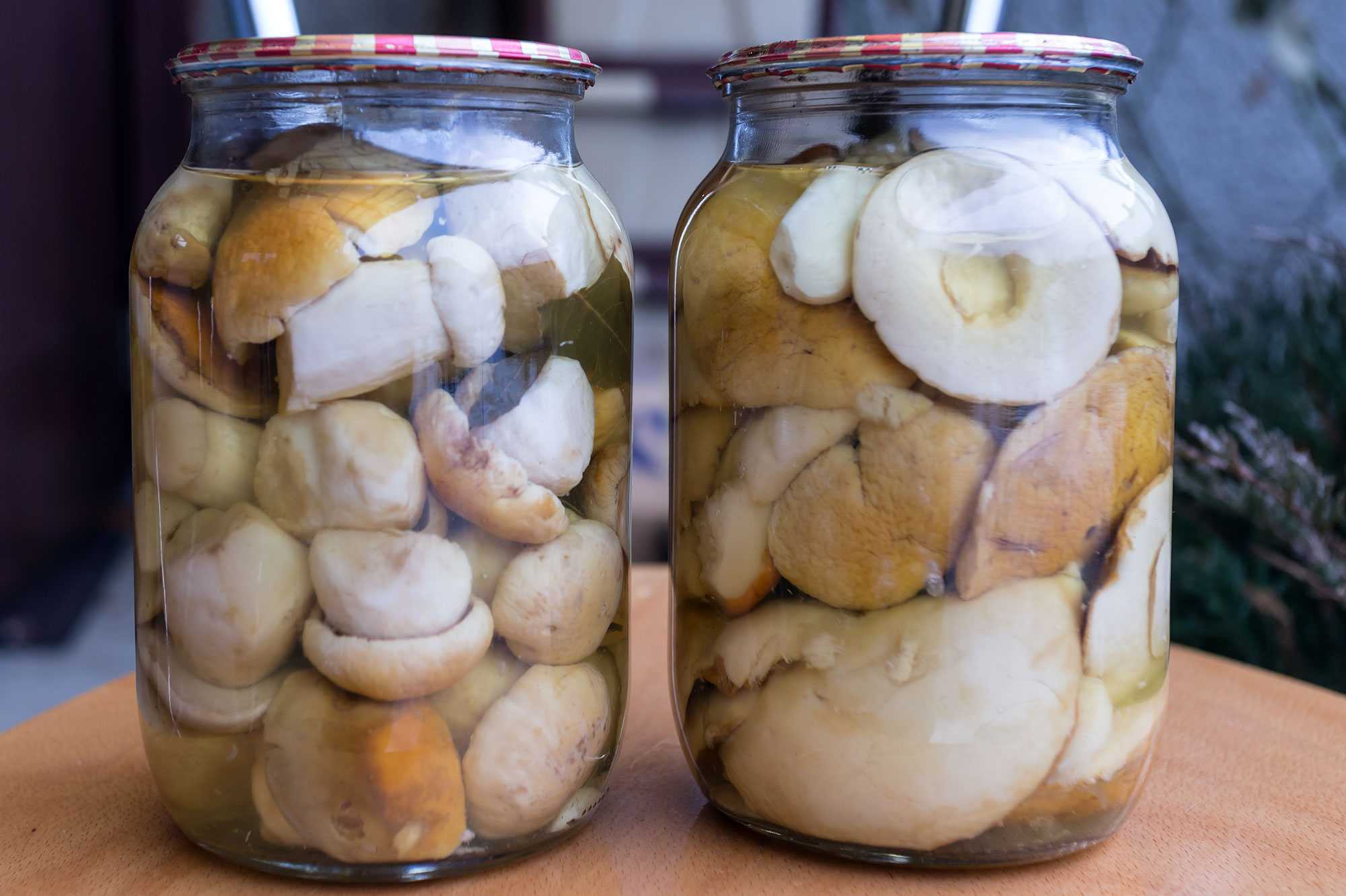 Грибная икра из вареных грибов на зиму - 5 самых вкусных рецептов с пошаговыми фото