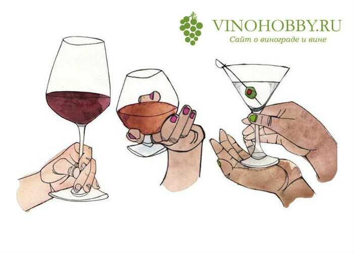 Как правильно держать бокал с вином: советы, инструкция, фото.